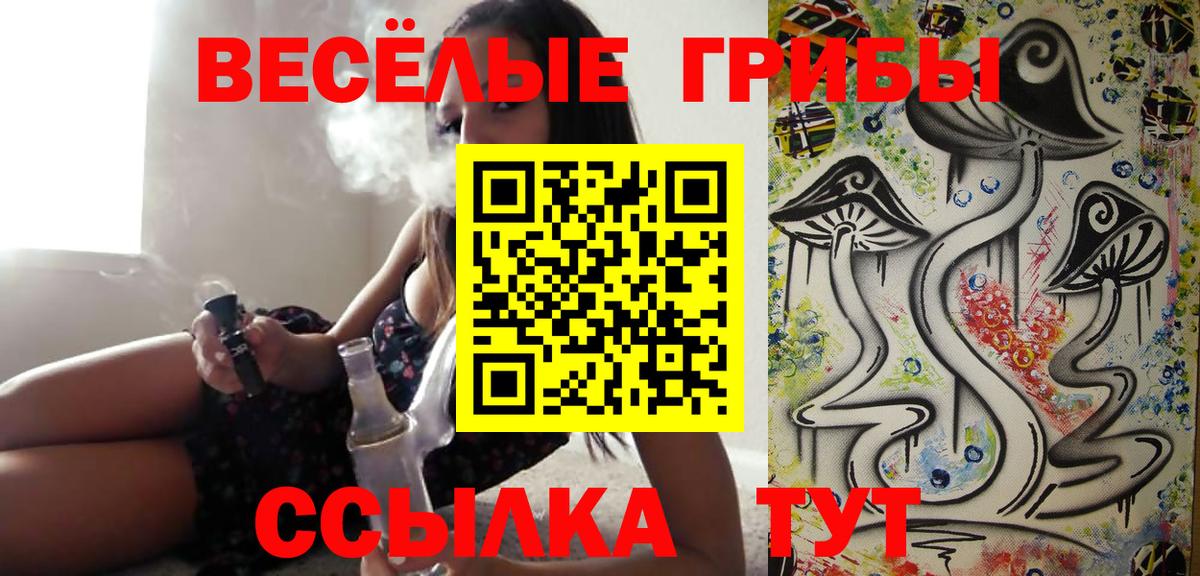 Галлюциногенные грибы Psilocybe Кириши