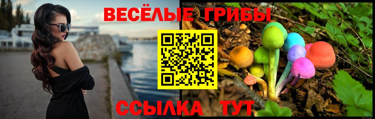 Галлюциногенные грибы MAGIC MUSHROOMS  Вход с VPN  Галлюциногенные грибы Psilocybine cubensis  Кириши 